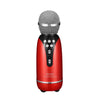 Ασύρματο μικρόφωνο Karaoke WS 899