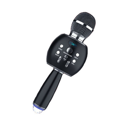 Ασύρματο μικρόφωνο Karaoke με ηχείο – DS888